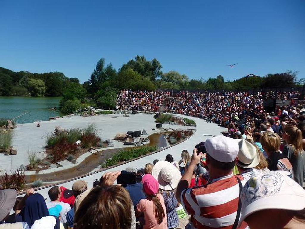 101PARC AUX OISEAUX DANS L AIN 2016 3_000039.jpg